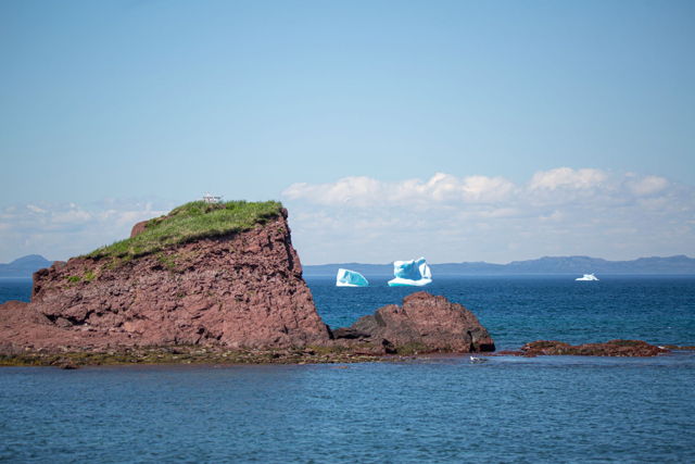 Islington Icebergs