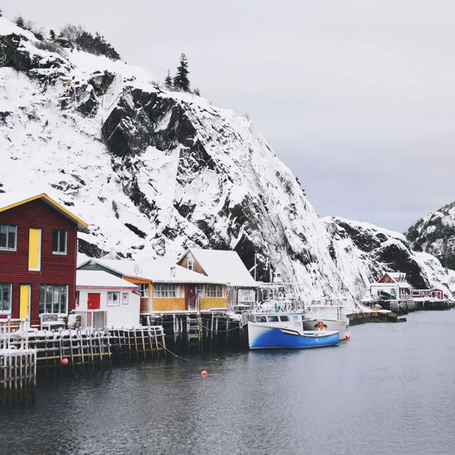 Winter in Quidi Vidi