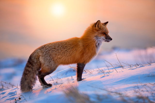 Soaking Up The Rays