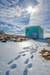 Winter Blues