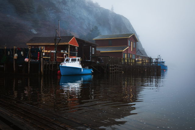 Beauty Of The Fog