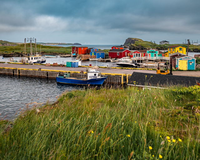 Newfoundland Fishing Village Coastal Landscape Print Champneys West