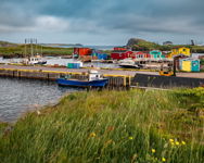 Newfoundland Fishing Village Coastal Landscape Print Champneys West