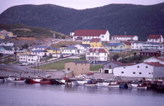 Harbour Breton - 1980