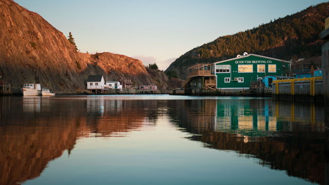 Reflective Quidi Vidi