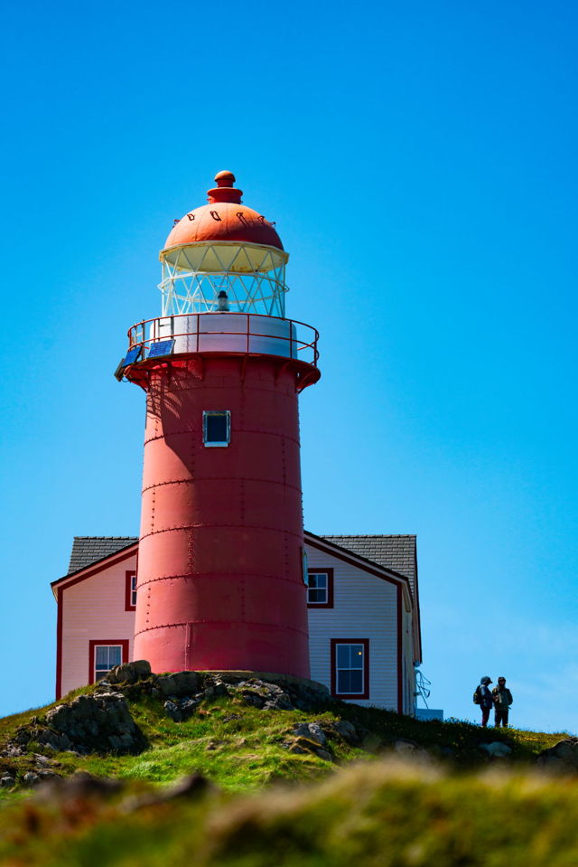 Ferryland Lighthouse 09109