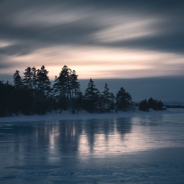 Frozen Tree Reflections