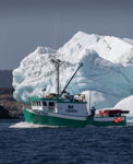 Cupids Ice