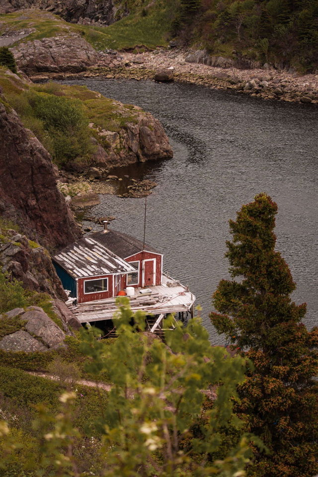 Whispers of Quidi Vidi