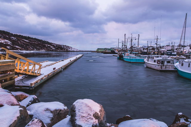 FORTUNE FLOATING DOCKS