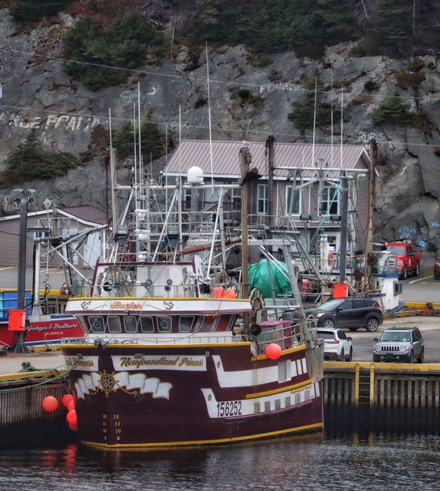 Newfoundland Princess