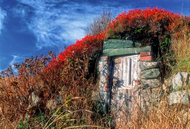 Root Cellar in the Fall