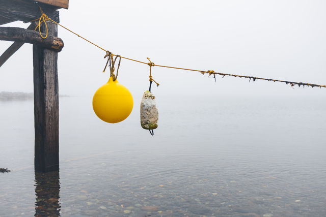 The Yellow Buoy