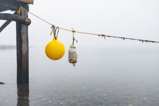 The Yellow Buoy