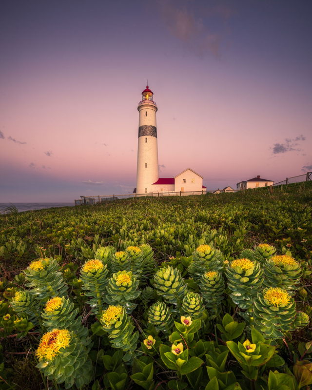 Morning Glow at Point Amour Lighthouse
