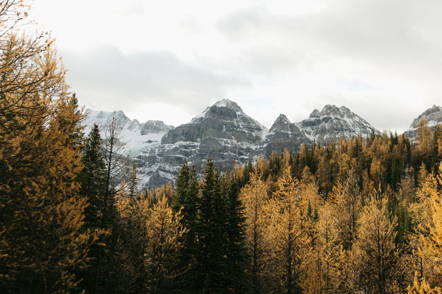 Larch Valley