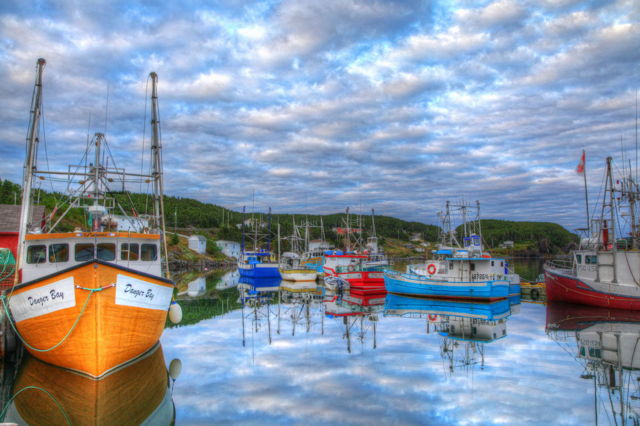 Colorful Harbour