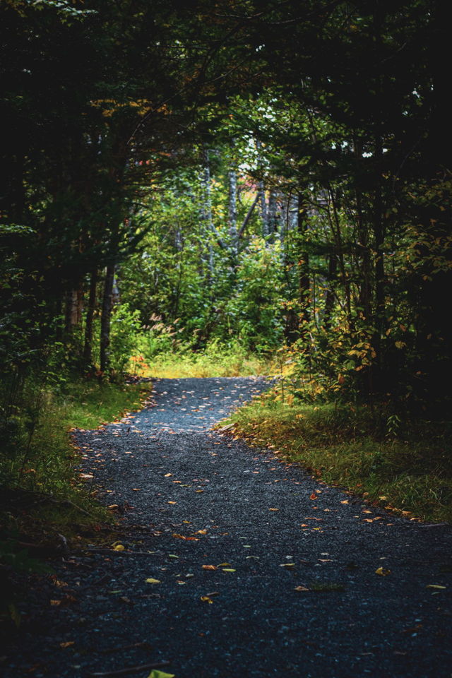 walk through fall