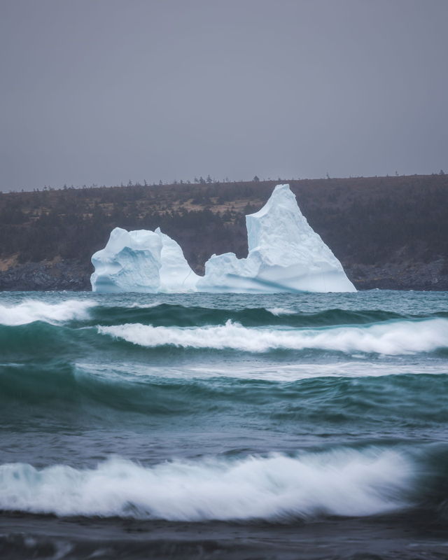 Harbour Grace Iceberg