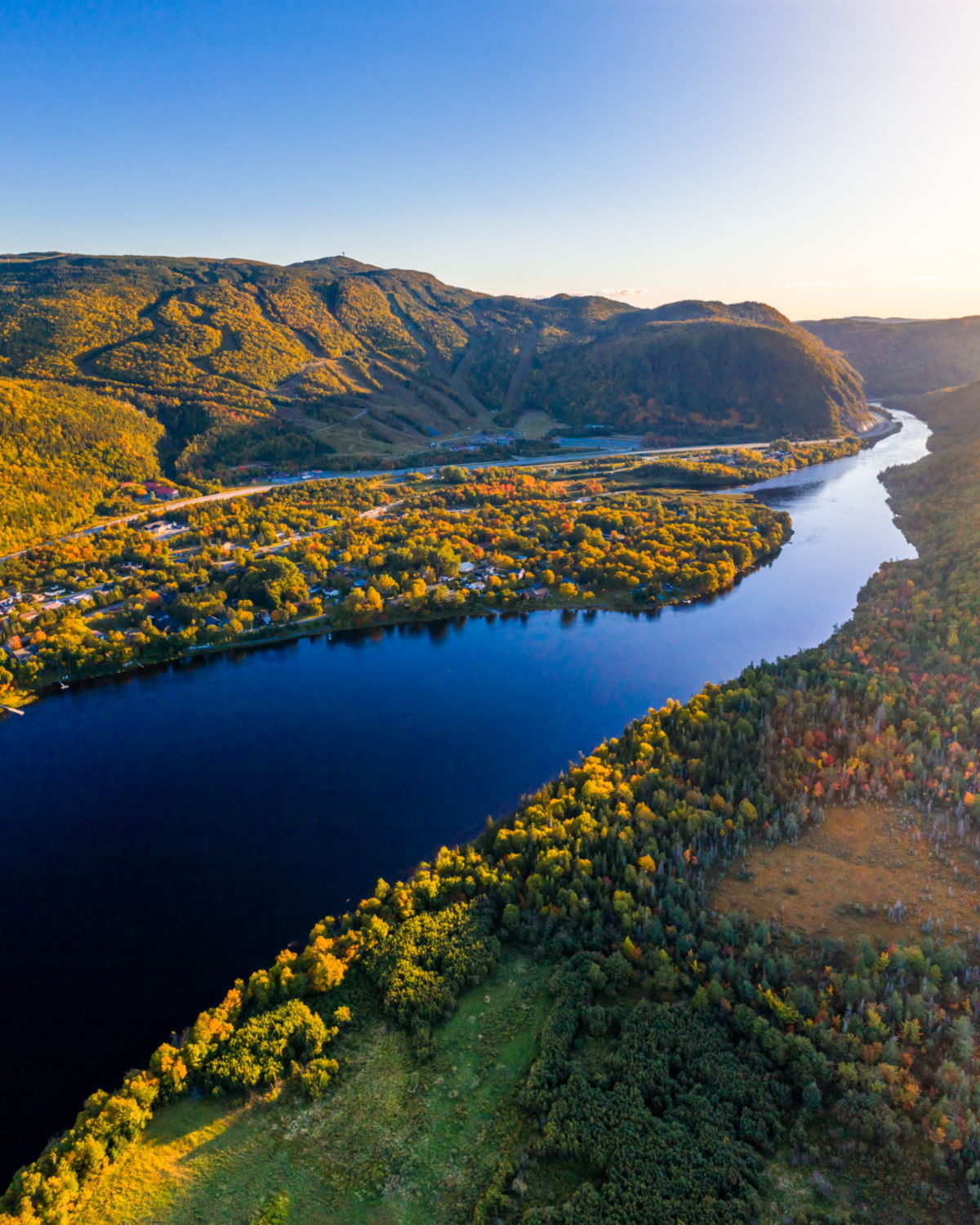 Fall Colours Glow in Steady Brook Tom Cochrane MARKET