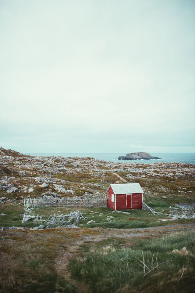 Cape Bonavista