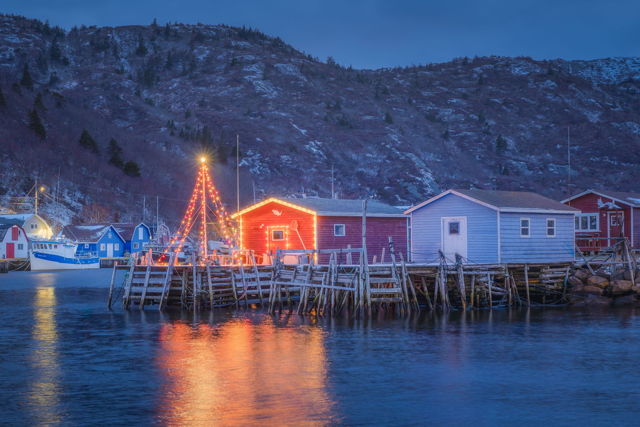 Christmas in Petty Harbour