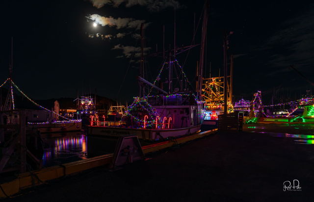 Port de Grave Boats Lit for Christmas