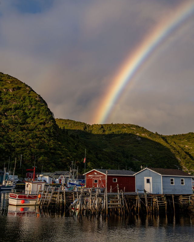 Petty Harbour Rainbow