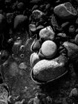 Cobbles and Ice