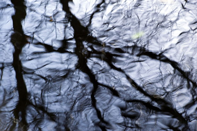 River Stories V