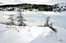 Ice Dream, Trinity, NL