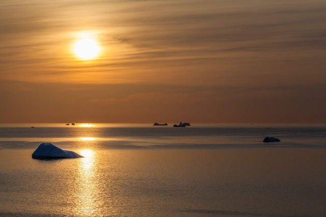 Bonavista Bergs