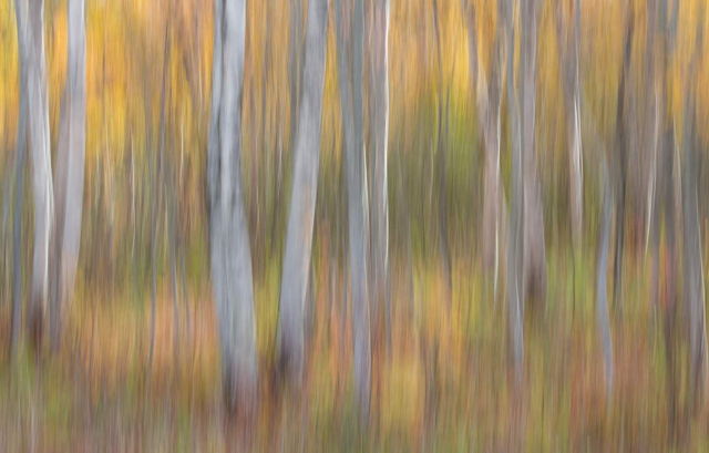 Blur 3