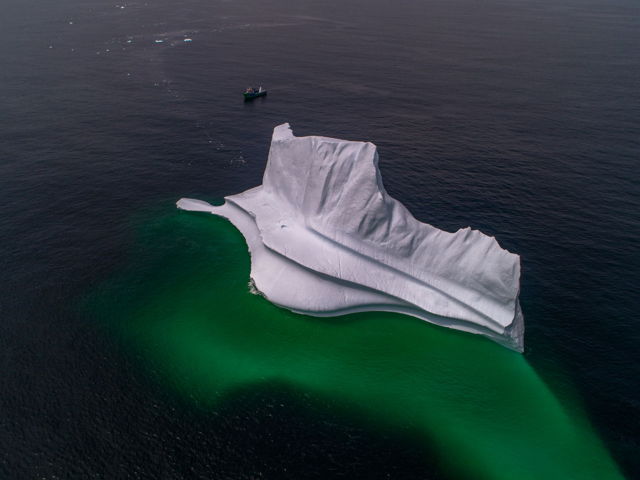 Newfoundland Iceberg Hunt