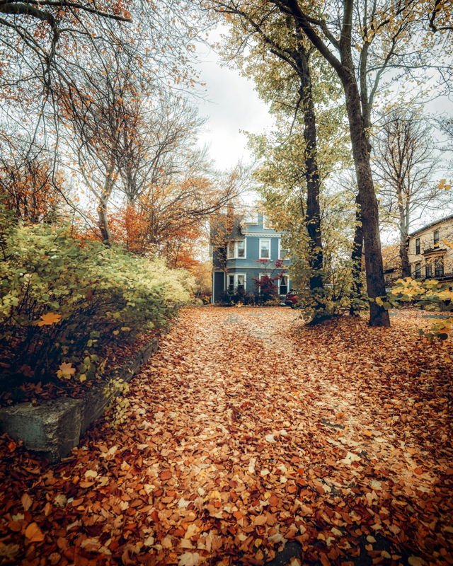A Walk Through October