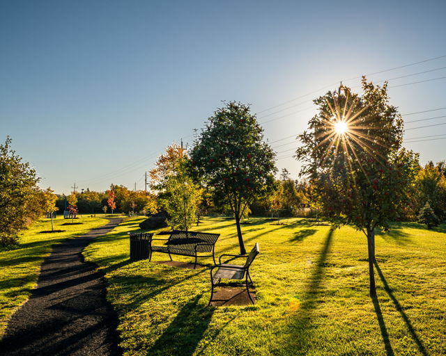Autumn mornings painted in golden light
