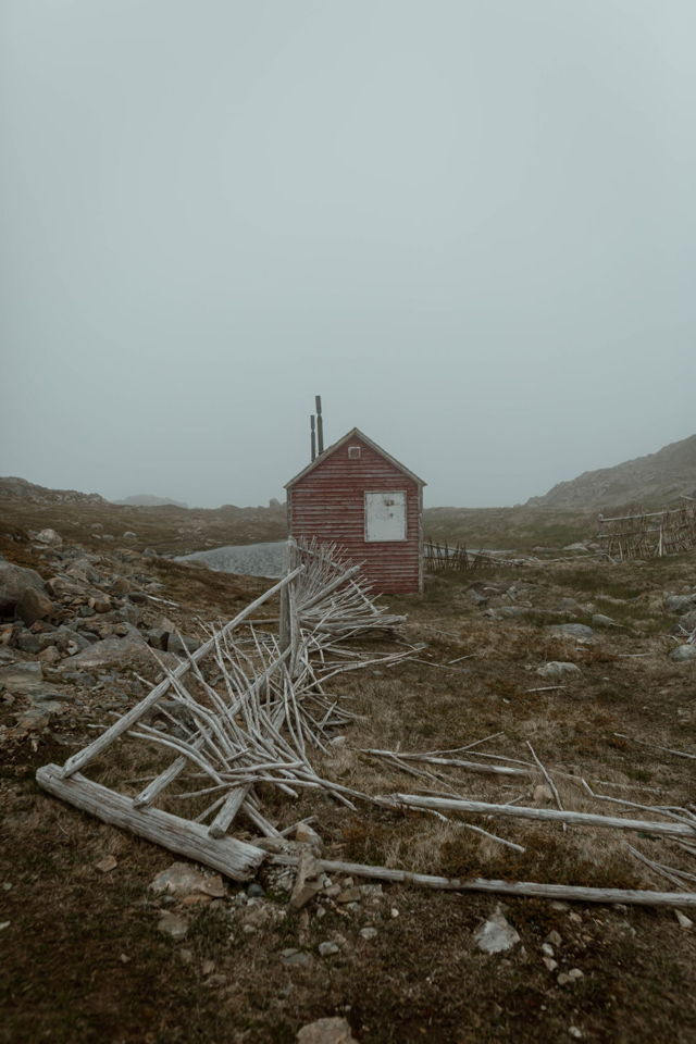 Foggy Bonavista