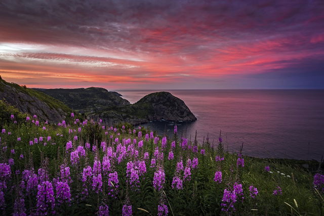 The Colours of the Cuckold's Cove