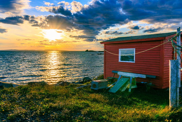 This Is Newfoundland