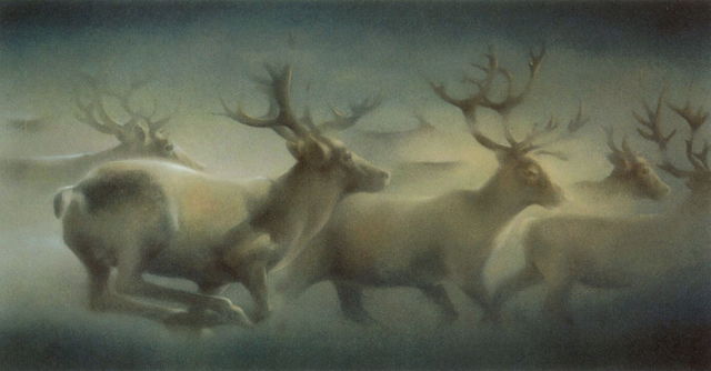 Over the Barrens