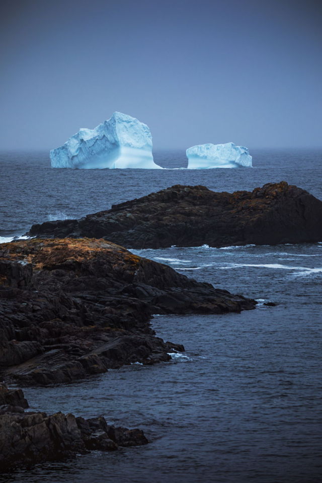 Ferryland Berg