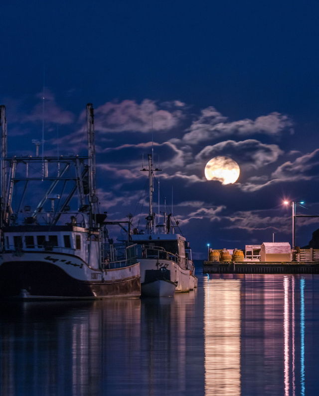 Petty Harbour Full Moon