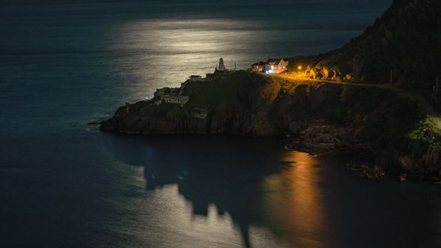 Bathed in Moonlight