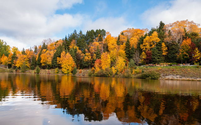 Autumn Reflections by the pond