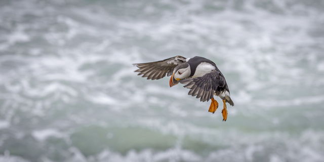 Coming In