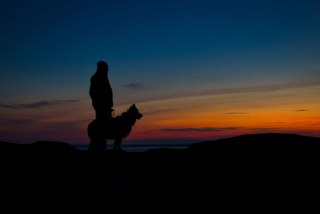 A man and his dog