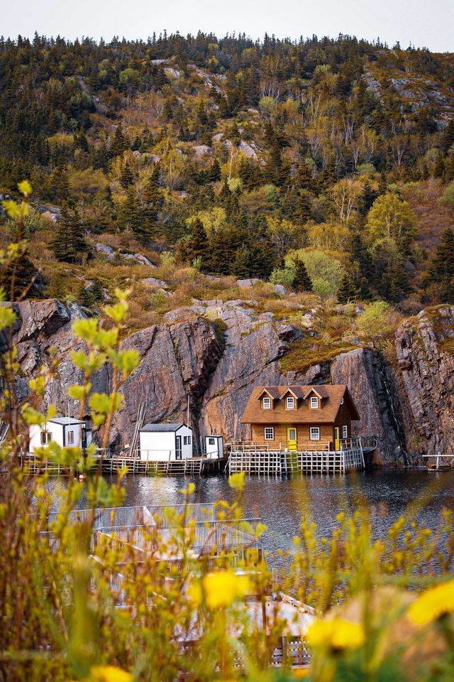 Crisp Air and Fall Fare