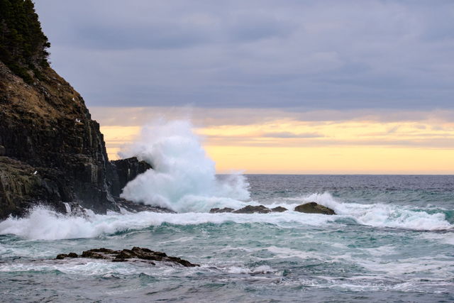 Waves Crashing in Middle Cove