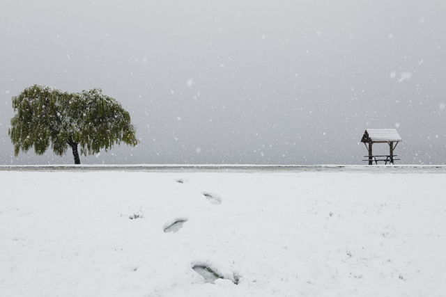 Admore Street Lake Wanaka Snow Day