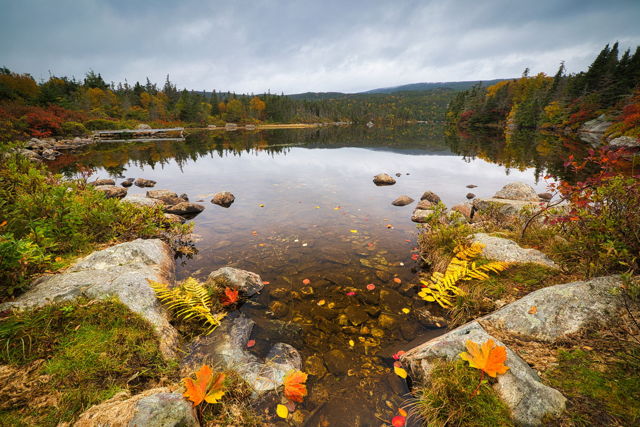 Autumn Stillness